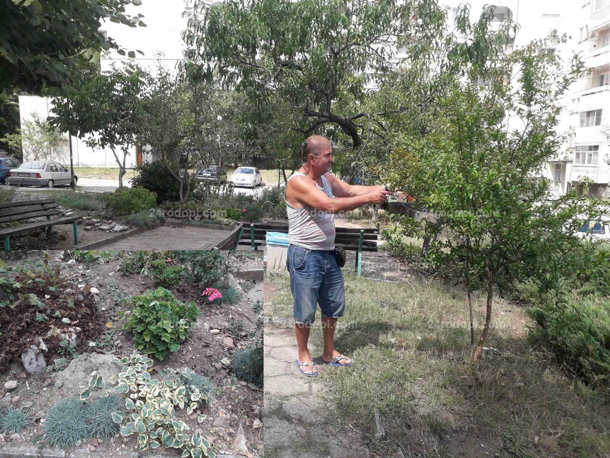 Неджо: Билките и подправките си ги бера от градинката пред блока във „Възрожденци“! (снимки)