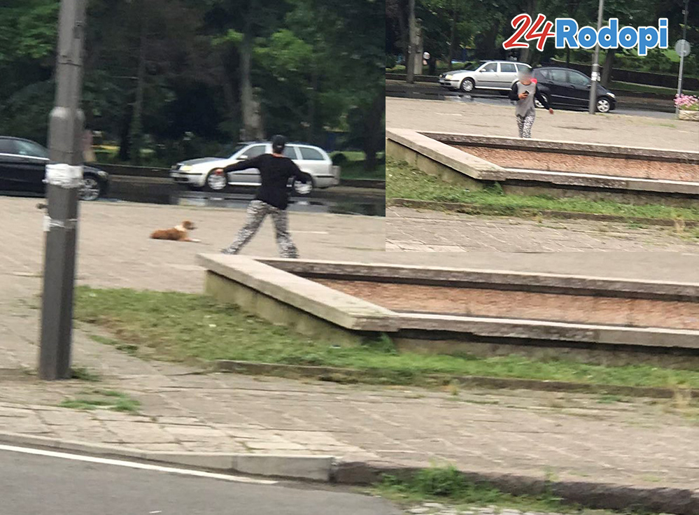 Танцът на грацията – „Лебедово езеро“ край пресъхналия шадраван