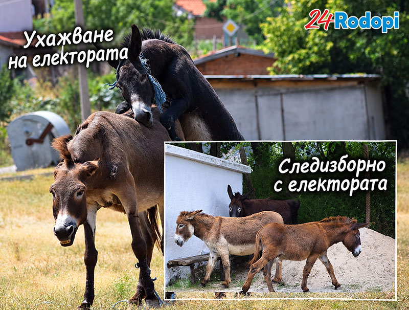 Коце, Гюра и Йота… задава се текме на вота?!