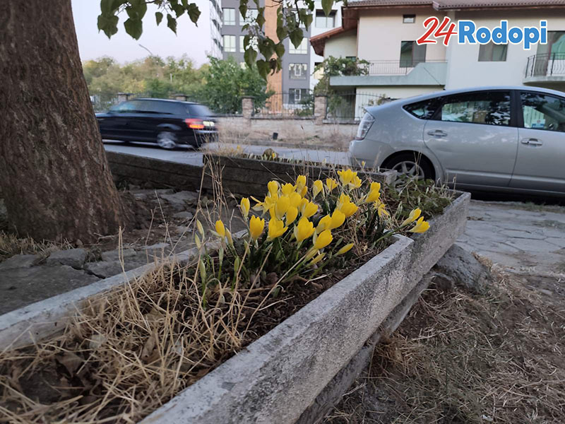 Красивите детайли в сивото ежедневие