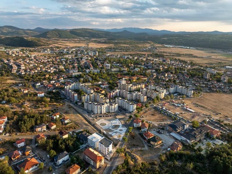 Момчилград започва кампания „Домашни и безстопанствени кучета“